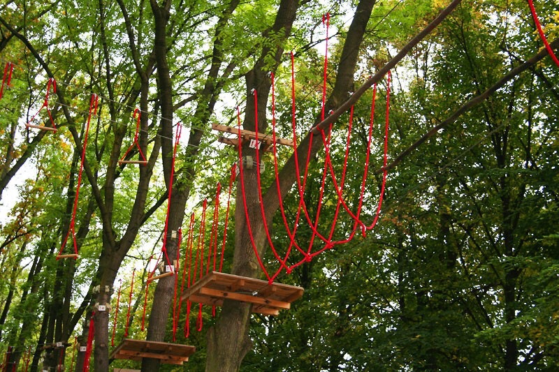 img00004.jpg
